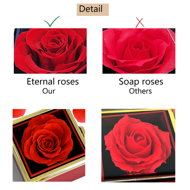 Rotierende ewige Rosenbox mit  – Engraved Name Necklace Bewertung und Preis