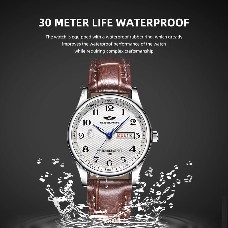 WLISTH Luxus Marke herren Uhr  – Jewelry Inspired Watches Bewertung und Preis